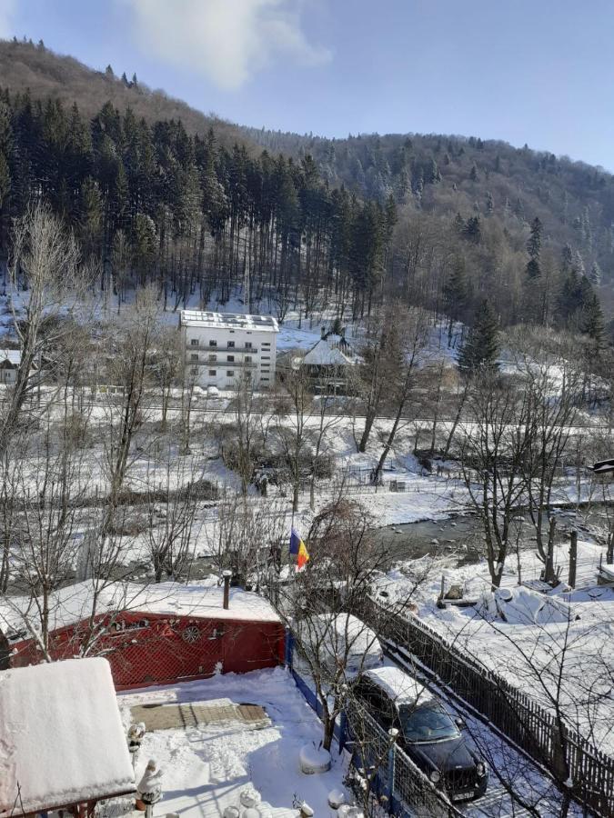 Hotel Casa Ryana Sinaia Esterno foto