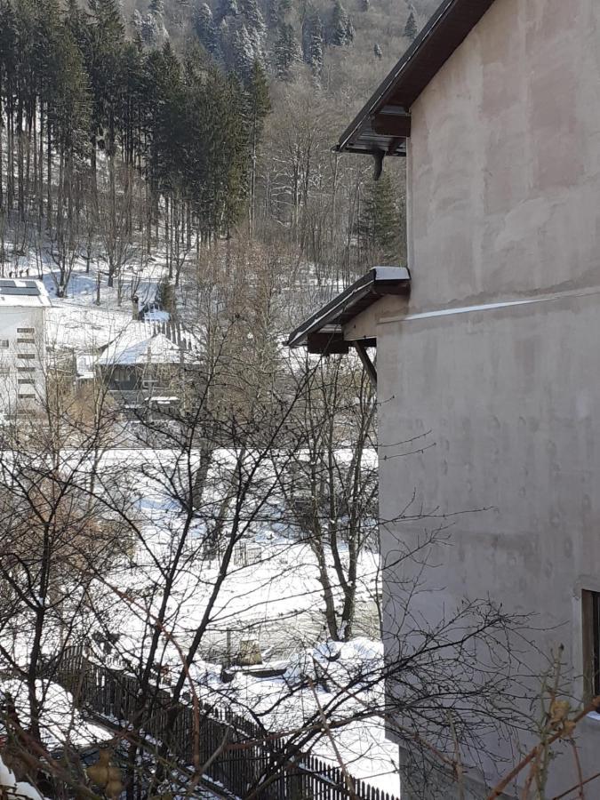 Hotel Casa Ryana Sinaia Esterno foto