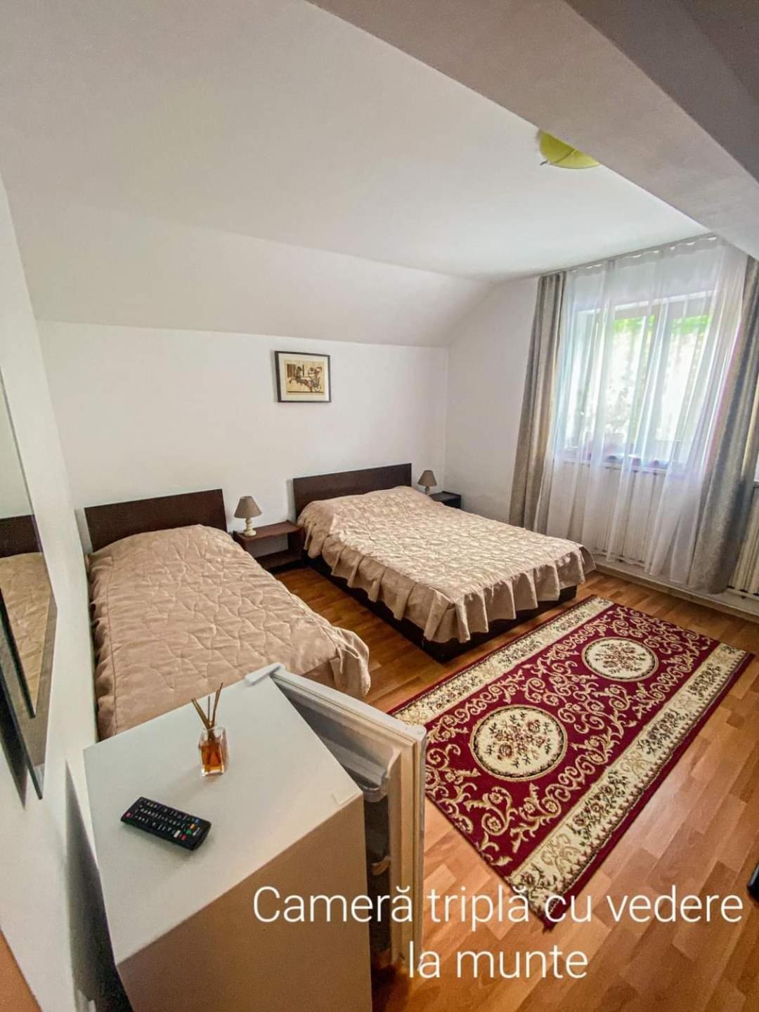 Hotel Casa Ryana Sinaia Esterno foto