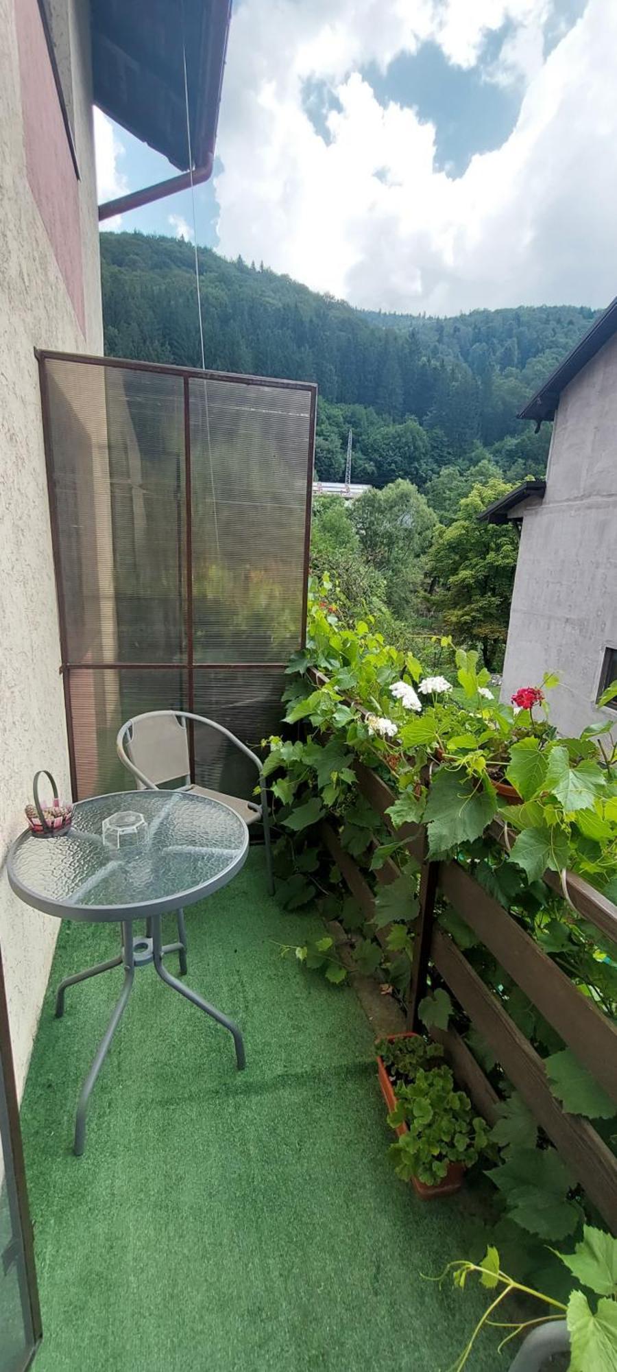 Hotel Casa Ryana Sinaia Esterno foto