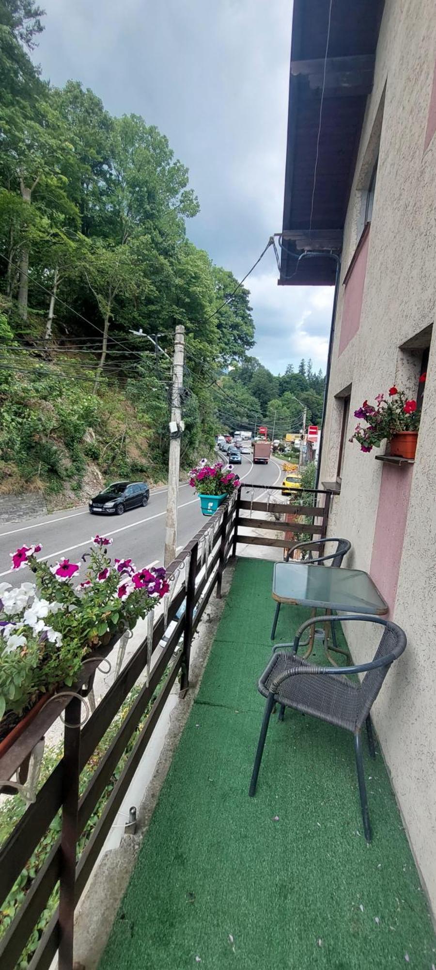 Hotel Casa Ryana Sinaia Esterno foto